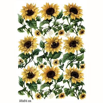r.tuck 602 sunflowers.jpg
