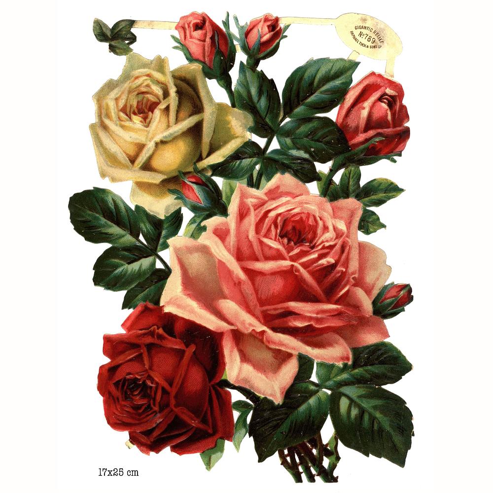 R.Tuck 789 roses.jpg