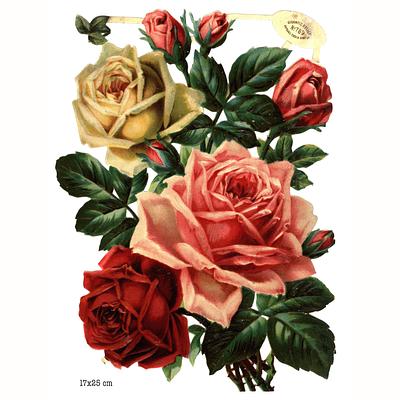 R.Tuck 789 roses.jpg