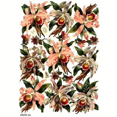 R.Tuck 762 flowers.jpg