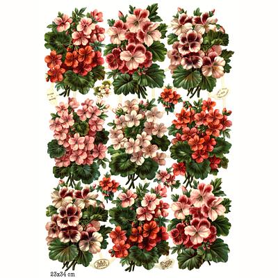 R.Tuck 980 flowers.jpg