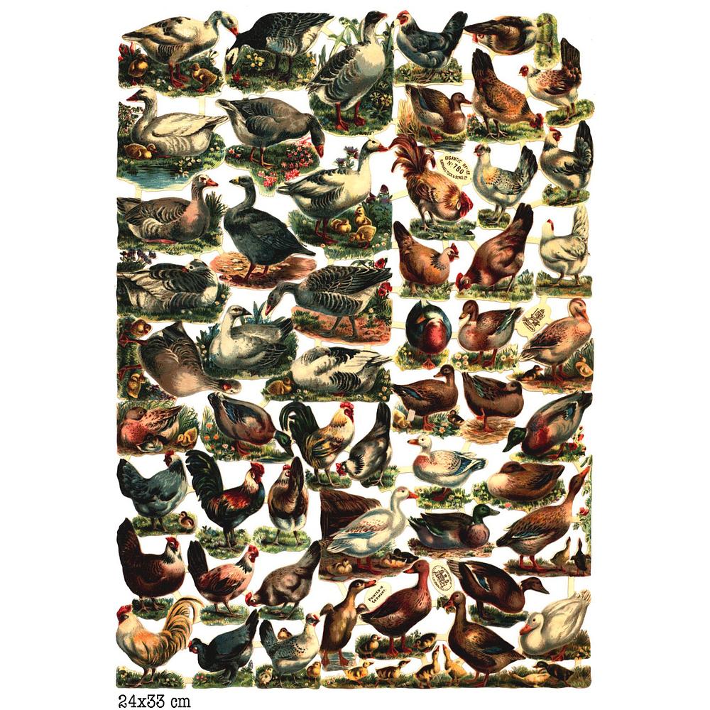 r.tuck 780 farm animals.jpg