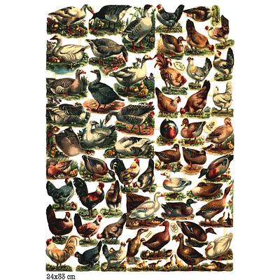 r.tuck 780 farm animals.jpg