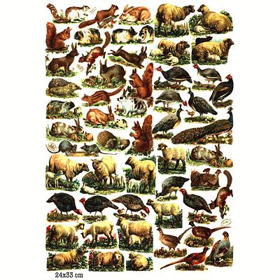 r.tuck 781 animals.jpg
