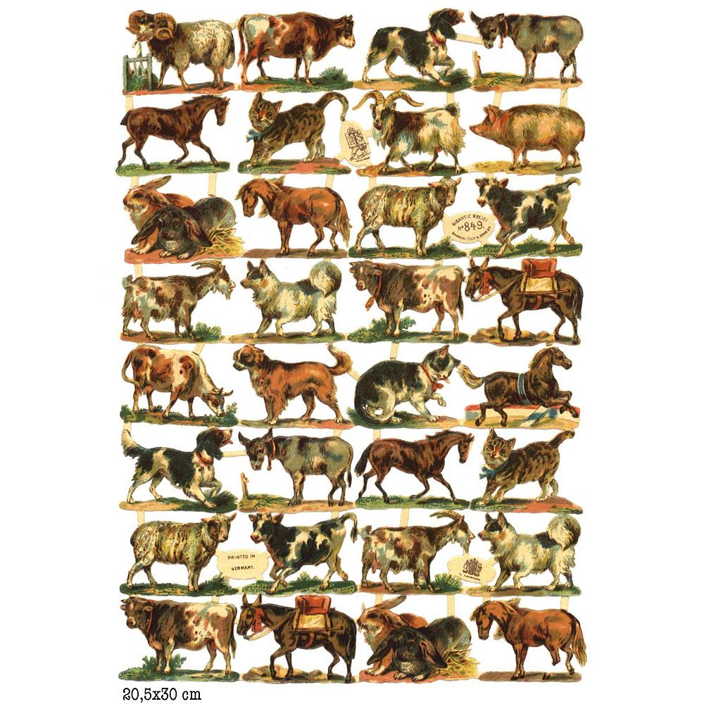 r.tuxk 849 animals sheep cow dog cm.jpg
