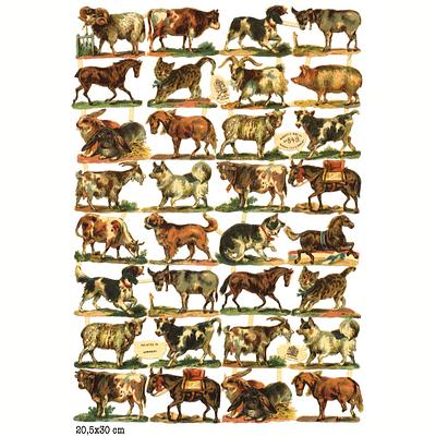 r.tuxk 849 animals sheep cow dog cm.jpg