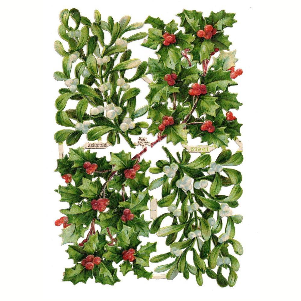 WH 67941 ilex.jpg