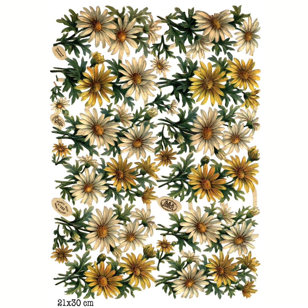 r.tuck 669 flowers.jpg