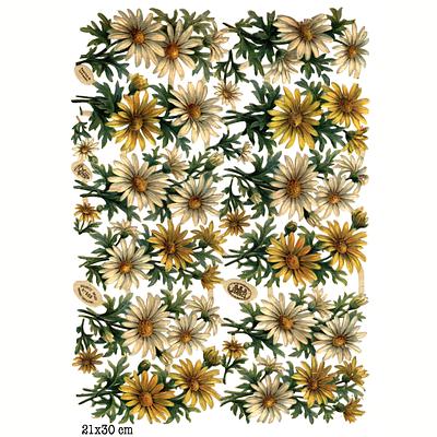 r.tuck 669 flowers.jpg