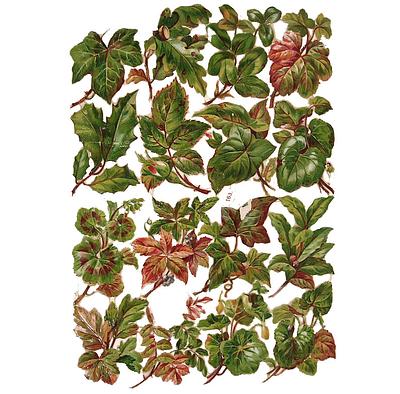 R.Tuck 163 leaves (1).jpg