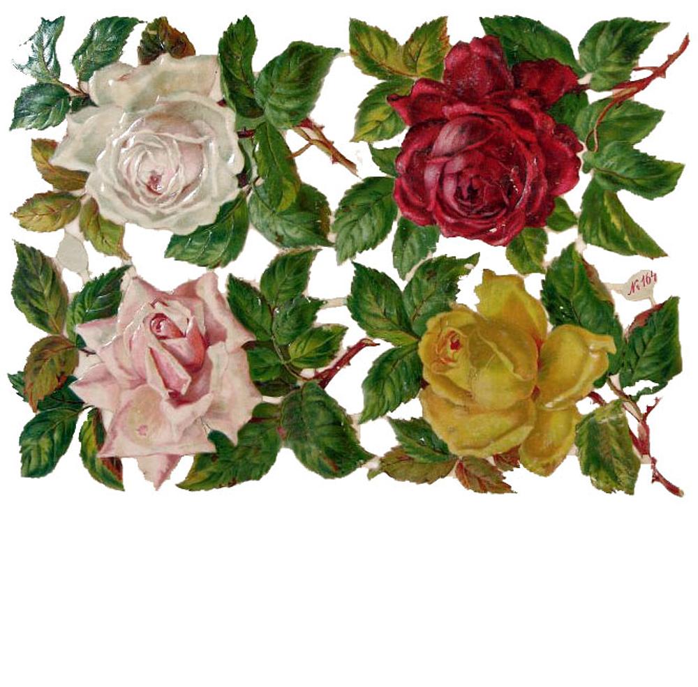 R.Tuck 164 roses 2.jpg