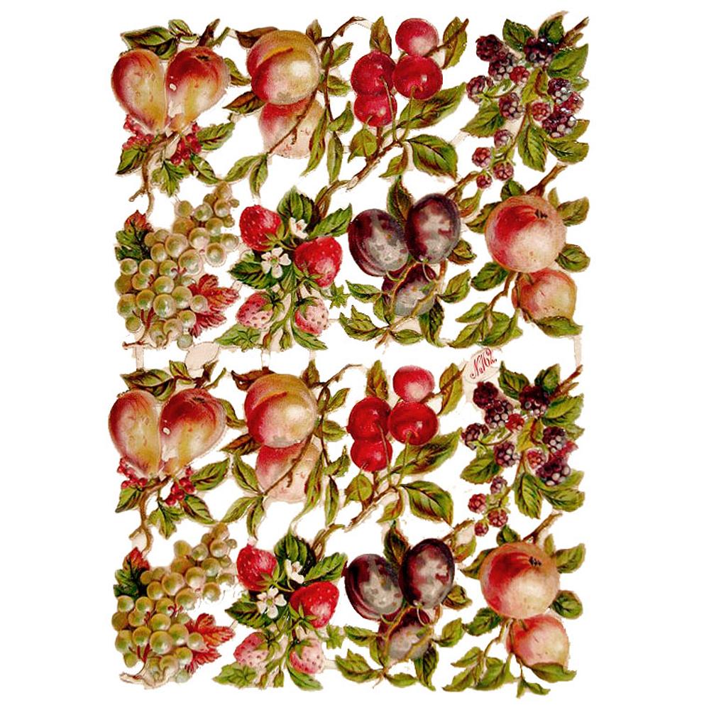 R.Tuck 162 fruits 2.jpg