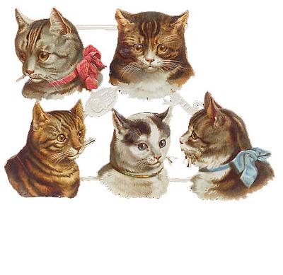 R.Tuck 211 cats 2.jpg