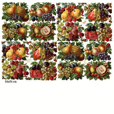 R.Tuck 1017 fruits.jpg