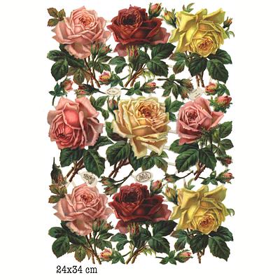 R.Tuck 701 roses.jpg