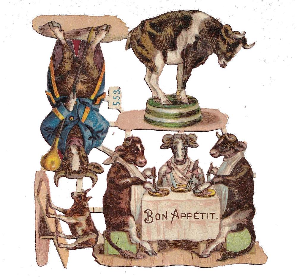 553 dressed cows.jpg