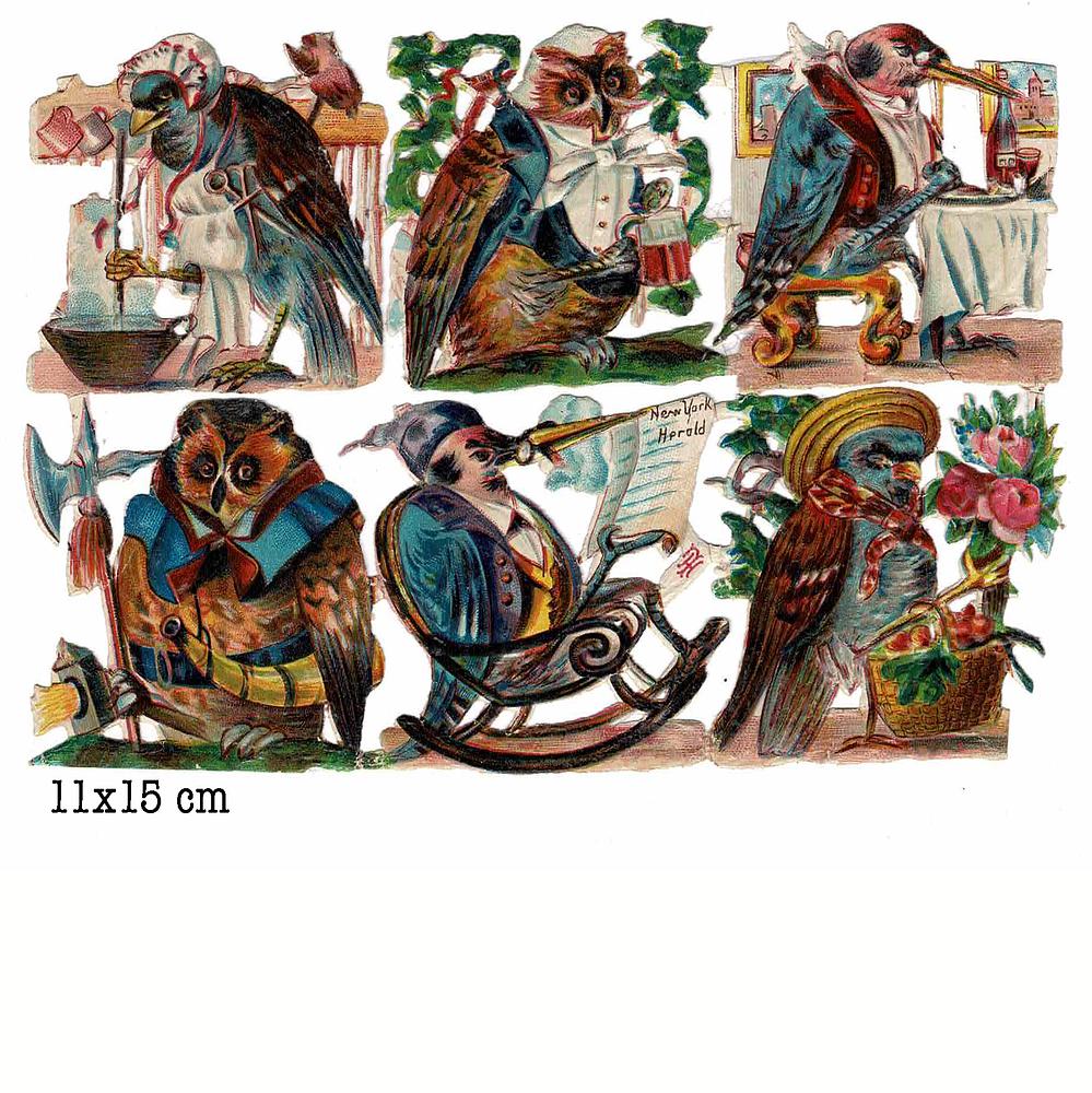 dressed birds animals.jpg