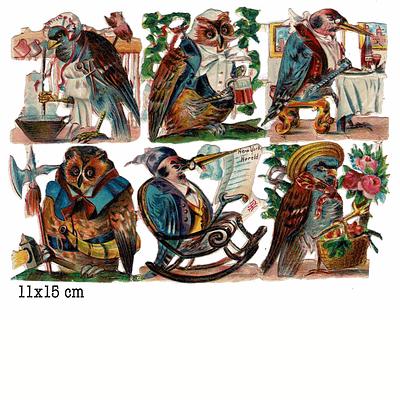 dressed birds animals.jpg