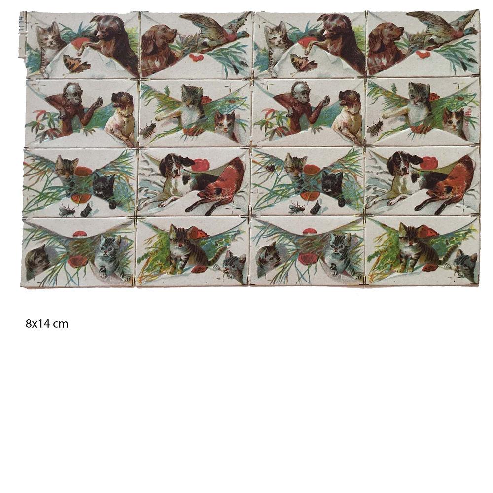 1114 letters dogs.jpg