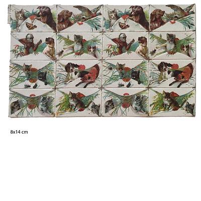 1114 letters dogs.jpg