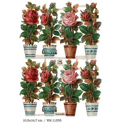 WH 11535 flowers in pots 10.5x14.7 2.jpg