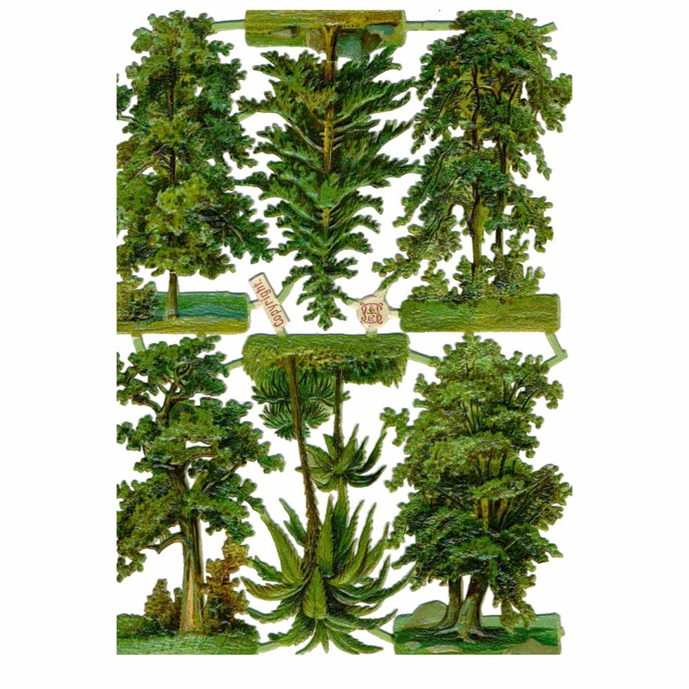 Hildesheimer 1470 trees.jpg