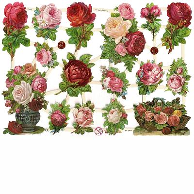 EF 7330 roses.jpg