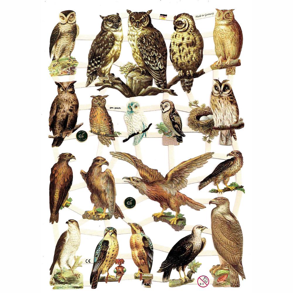 EF 7333 Birds of Prey  Owl  Hawk.jpg