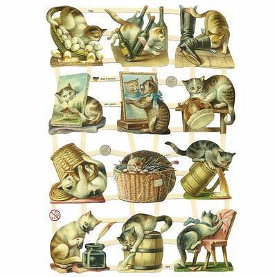 EF 7388 Kittens & Cats.jpg