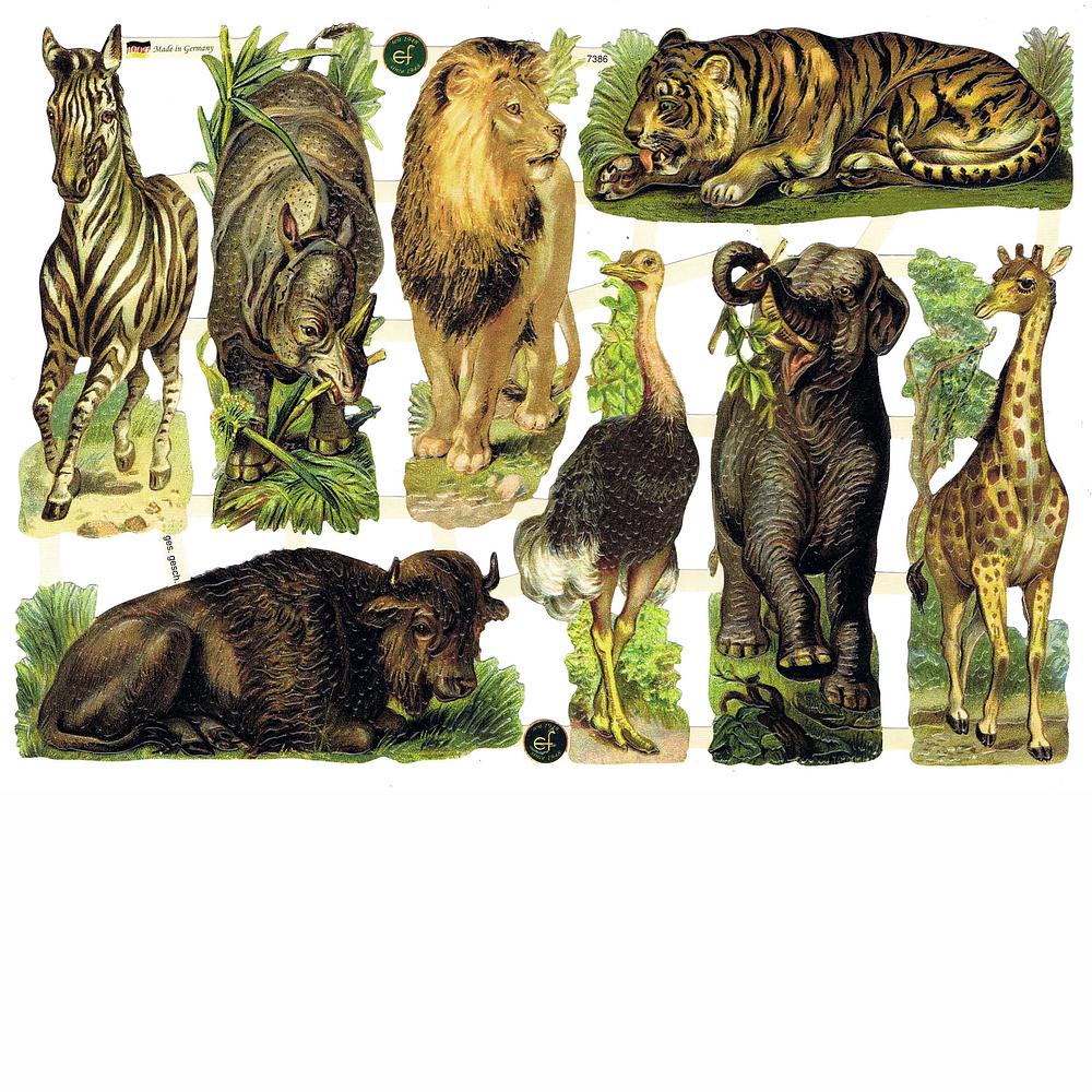 EF 7386 Wild animals.jpg