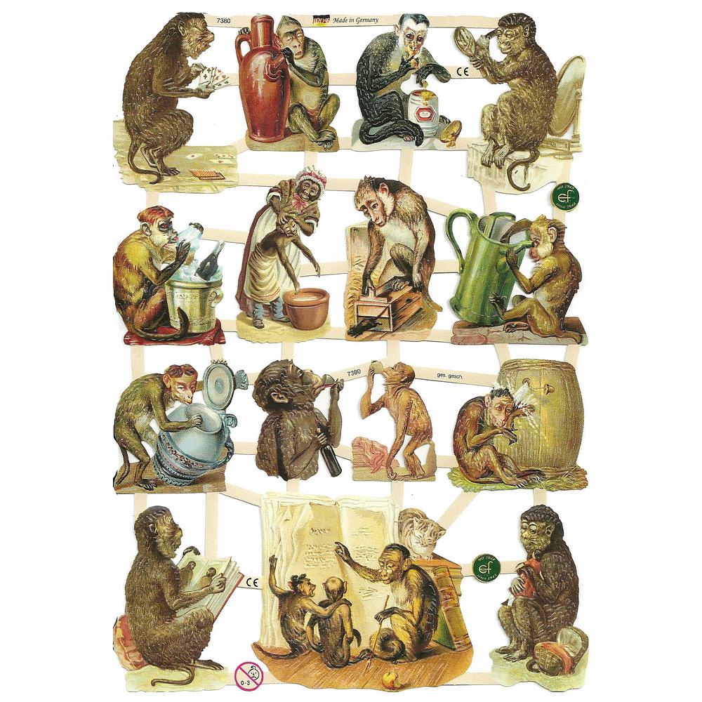 EF 7380 monkey playing.jpg