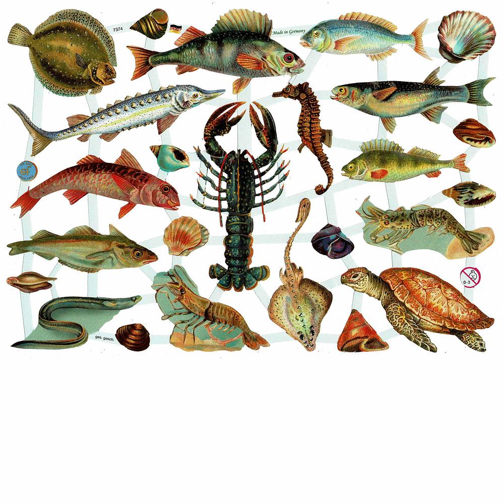 EF 7374 Sea Turtle, Lobster, Shrimp, Fish.jpg