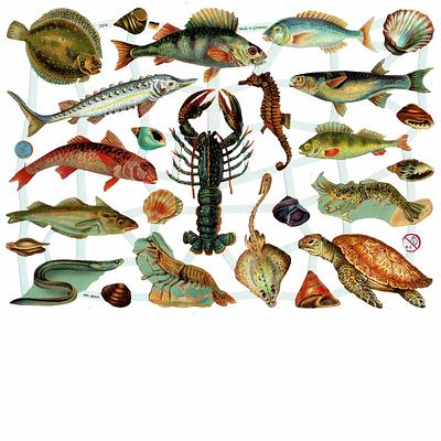 EF 7374 Sea Turtle, Lobster, Shrimp, Fish.jpg