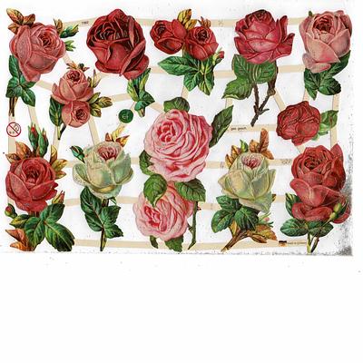 EF 7362 Red, Pink, White Roses glitter.jpg