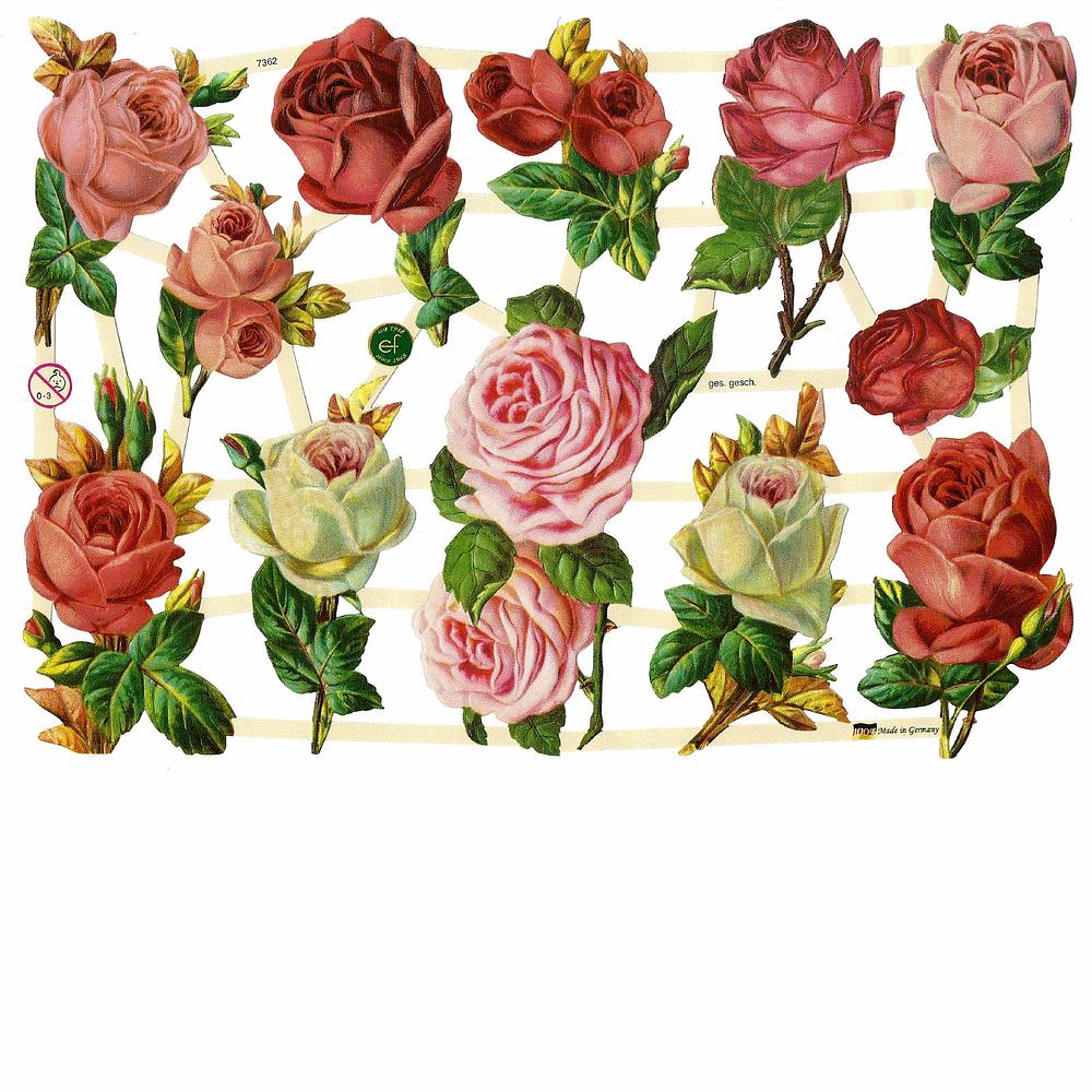 EF 7362 Red, Pink, White Roses.jpg