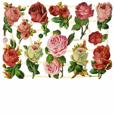 EF 7362 Red, Pink, White Roses.jpg