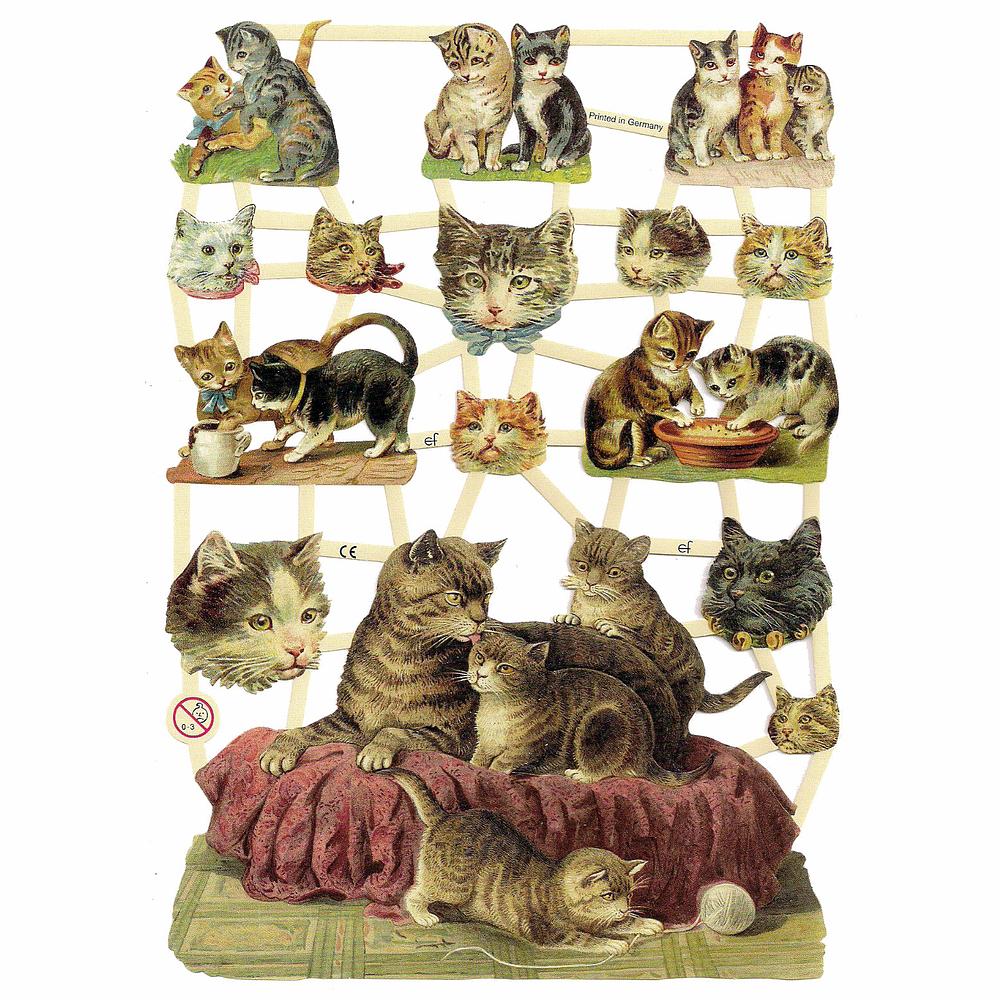 EF 7301 Playful Cats.jpg