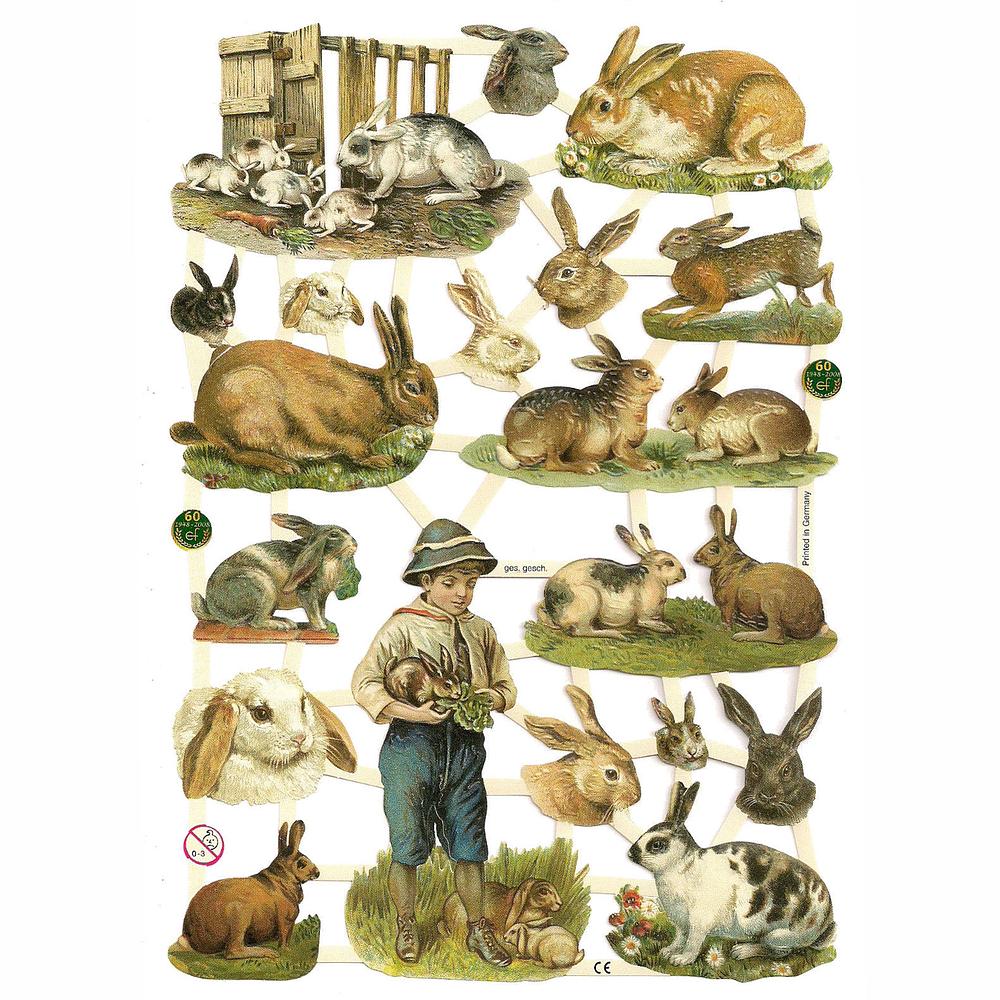 EF 7292 bunnies easter rabbit.jpg