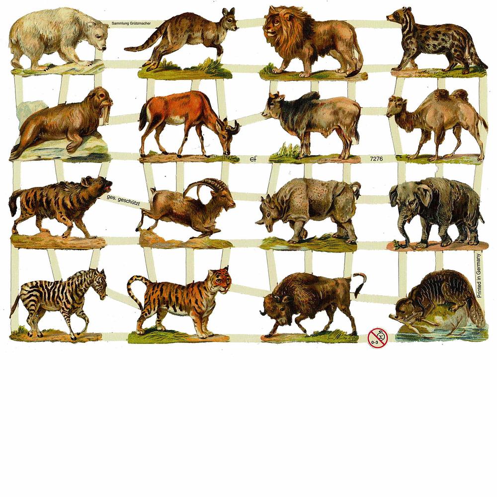 EF 7276 Wild Animals Zebra's, Tigers, Bears.jpg