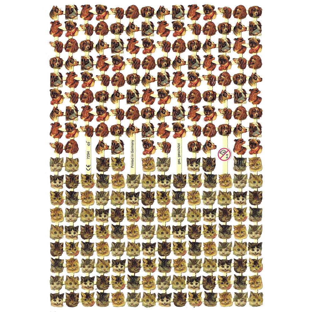 EF 7294 lots of small dogs and cats heads.jpg
