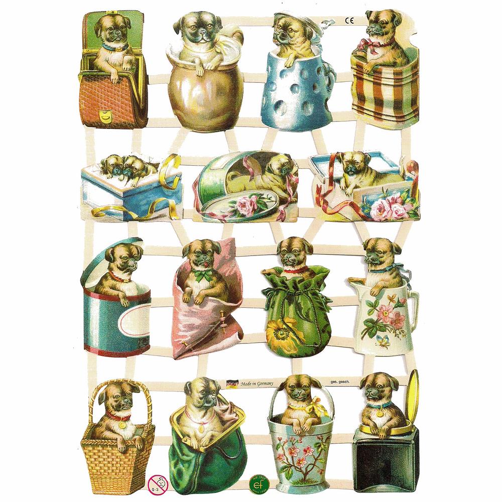 EF 7342 Puppies & Dogs In Containers.jpg