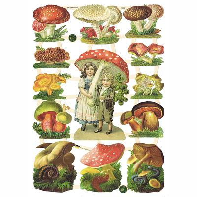 EF 7355 Mushrooms.jpg