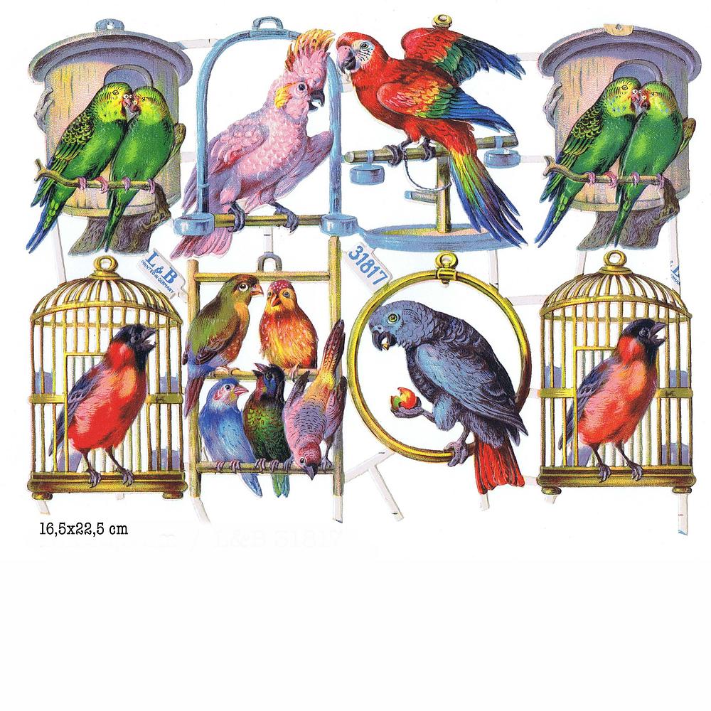 L&B 31817 parrots.jpg