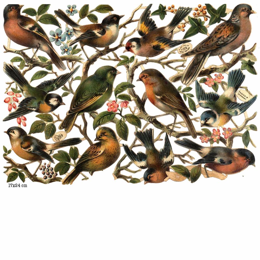 R.Tuck 279 birds and trenches.jpg