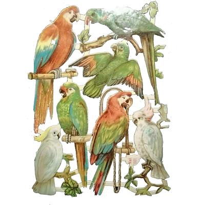 M&H 1501 parrots.jpg