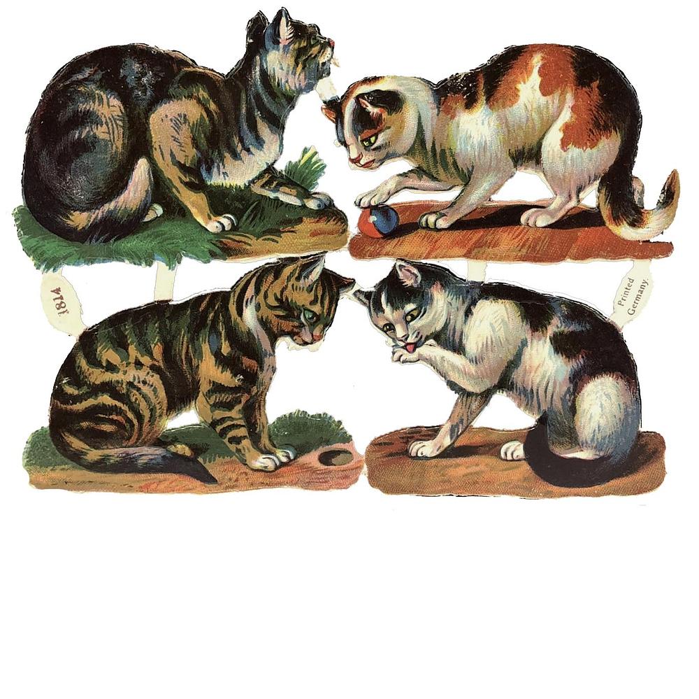 1814 Humorous Animals & Cats Die Cut Scraps Glued on Paper Double Sided L6  eBay.jpg