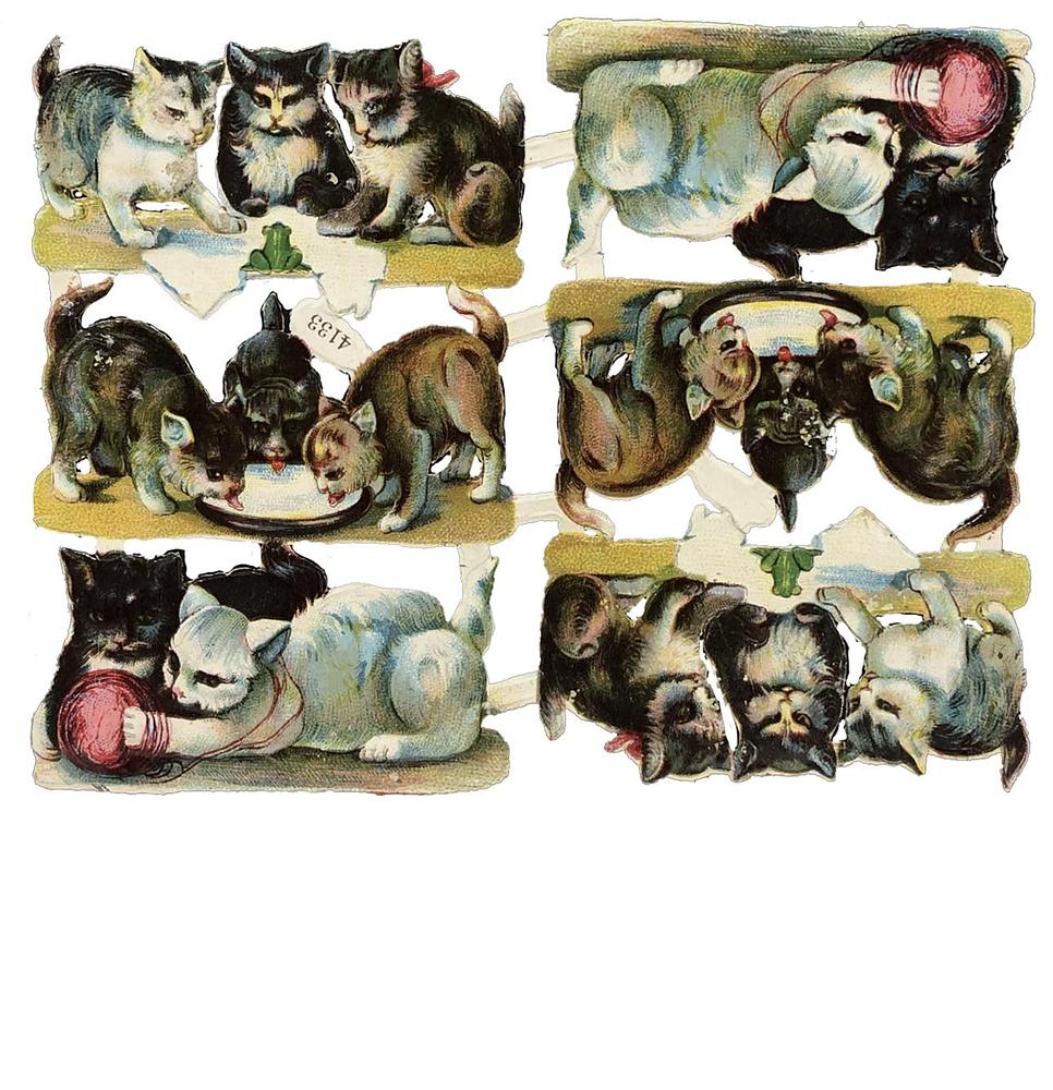 4133 Cats Toasting Playing + Die Cut Scraps Glued on Paper Double Sided L5  eBay.jpg