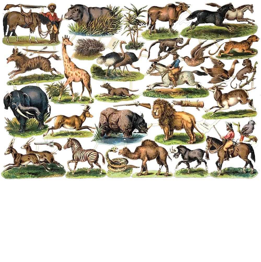 4000 wild animals hunting.jpg