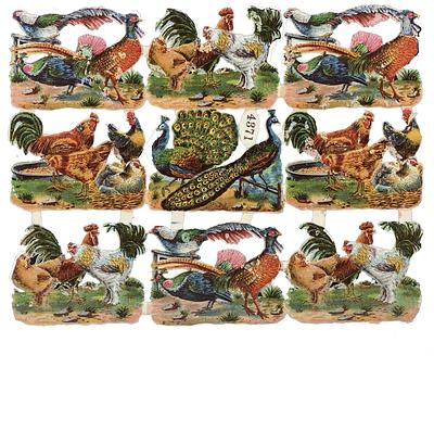 4371 farmanimals.jpg