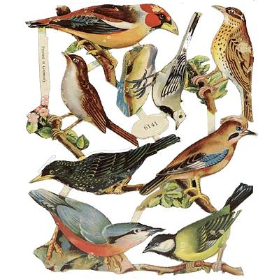 2014 Animals Scraps Glued on Paper Double Sided Birds + L18  eBay.jpg